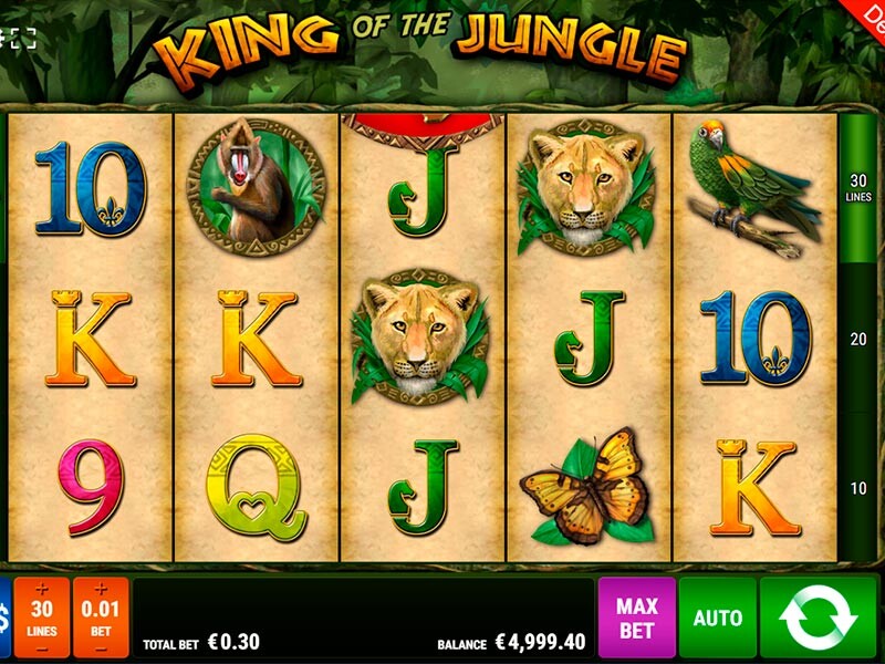 King Of The Jungle Slot