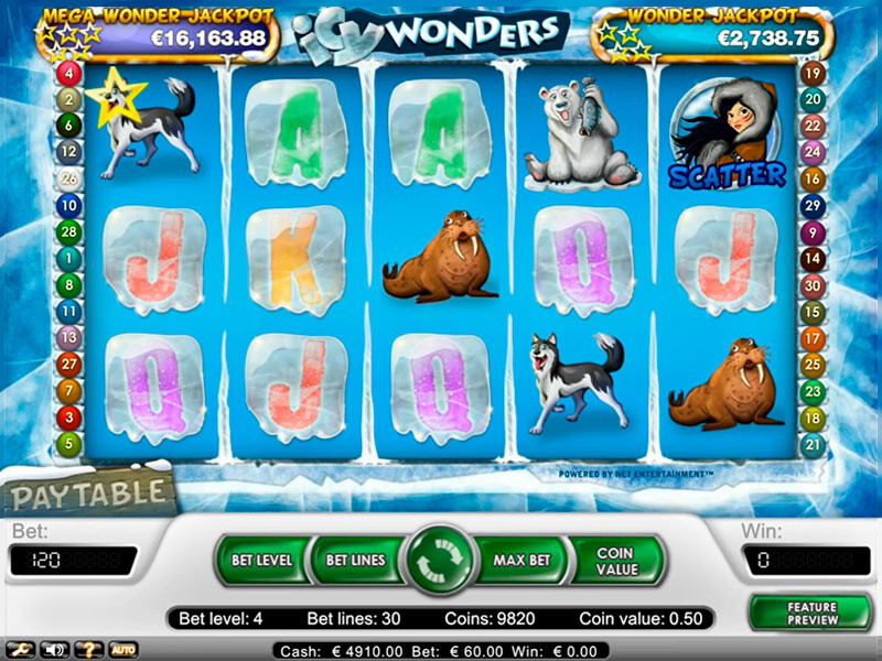 Icy Wonders Slot